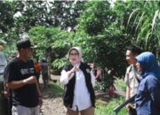 Penantian 3 Dekade Berakhir: Jalan Rusak Kalisemut Segera Diperbaiki