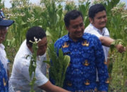 BPD Kecik Inisiasi Peningkatan Kapasitas Berkelanjutan, Dinas PMD Kabupaten Probolinggo Sambut Baik