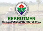 Kepastian Rekrutmen Pendamping Desa 2025 Dinanti: Masyarakat Probolinggo Diminta Waspada Hoax