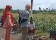 Viral Diduga Video Kepala Desa Tamansari Dringu Dilabrak Emak-emak Perbaiki Jalan Desa Gunakan Beton dari Perumahan