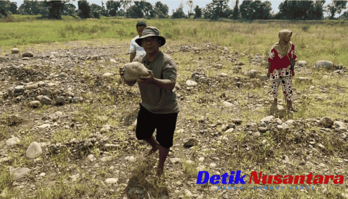 Polemik Reklamasi Tambang di Klampokan Probolinggo Memanas: Lahan Tak Produktif, Warga Meradang