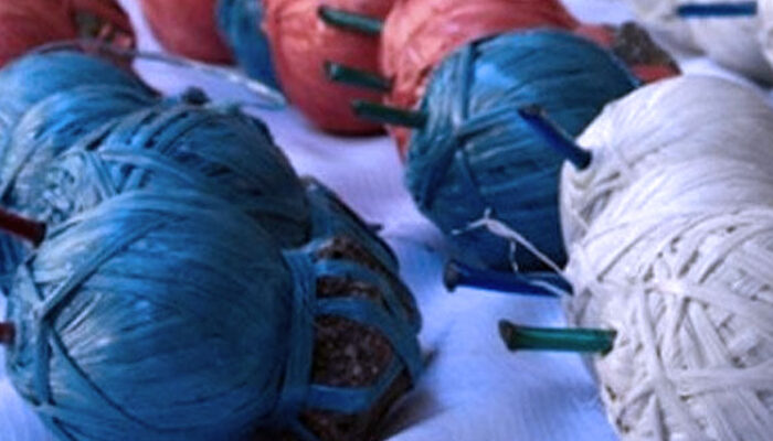 Orang Tak Dikenal Melempar Bondet ke Nenek 92 Tahun di Probolinggo