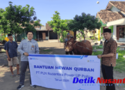 PLN Nusantara Power UP Paiton Bagikan Hewan Kurban, Perkuat Kebersamaan Saat Idul Adha