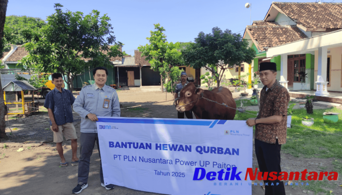 PLN Nusantara Power UP Paiton Bagikan Hewan Kurban, Perkuat Kebersamaan Saat Idul Adha