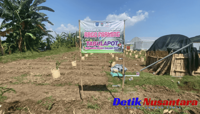 Desa Sidopekso: Merintis Kemandirian dan Kelestarian Lingkungan Melalui Program Desa Tematik Hijau