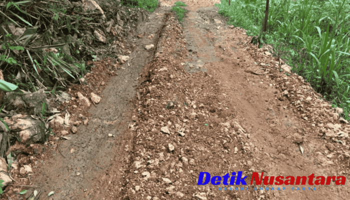 Mengintip Kondisi Proyek Makadam Dusun Toguren Sampang Madura yang Disorot Projo