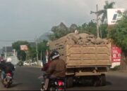 Truk Angkut Batu Tanpa Penutup Resahkan Pengendara di Jalur Pantura Paiton