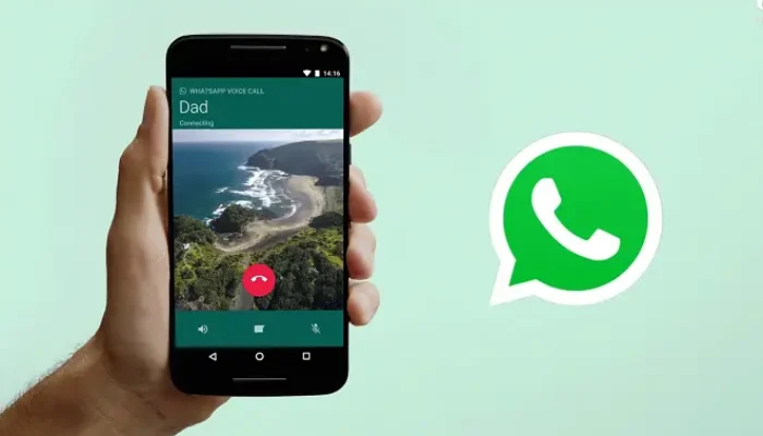 Ini Alasan Pemerintah Bakal Batasi Panggilan WhatsApp dan Video Call