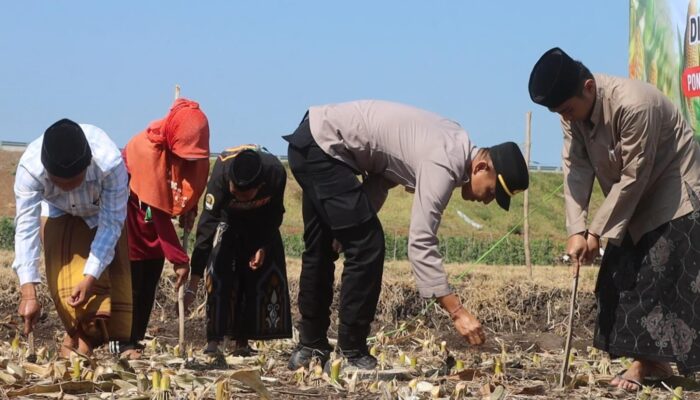 Polres Probolinggo Tanam Jagung di Ponpes Raudlatul Jannah 2 Maron