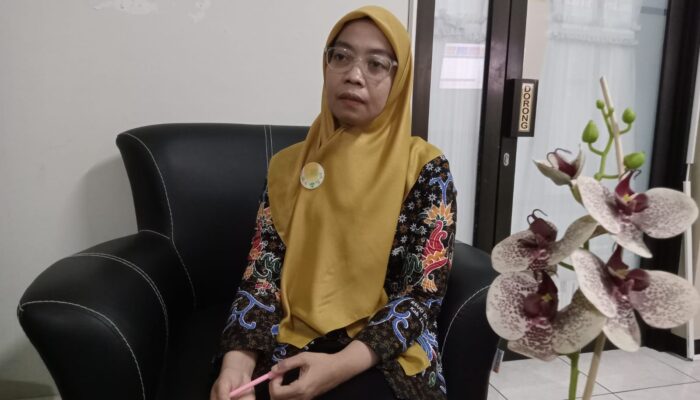 Pasien THT di RSUD Haryoto Lumajang Naik 5,1 Persen, Sound Horeg Juga Jadi Pemicu