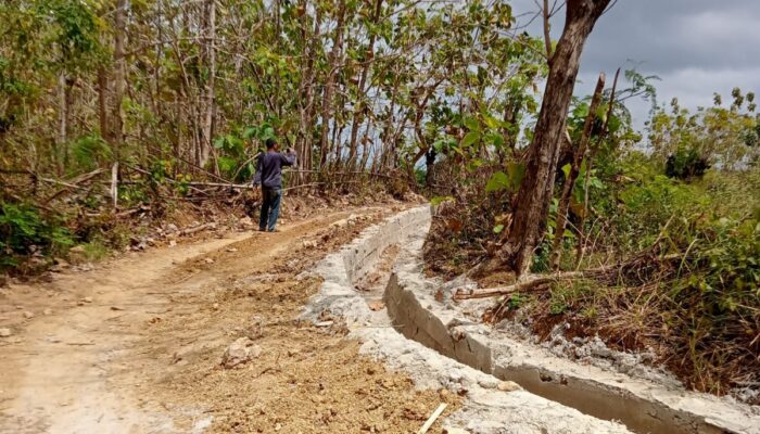 Pembangunan Irigasi Kolokolo Sumenep Contoh Kegagalan dalam Pemenuhan Standar Teknis