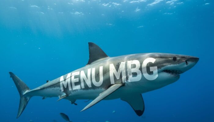 Banyak Siswa Keracunan MBG karena Menunya Pakai Ikan Hiu, Fakta Bahayanya Ikan Hiu