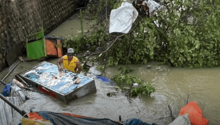 Cuaca Ekstrem Terjang Lamongan: Pohon Tumbang dan Dua Warung Hanyut ke Sungai