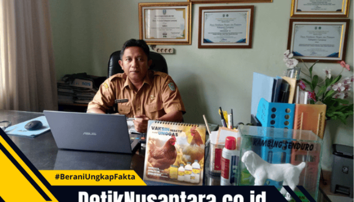 Kasus PMK di Lumajang Turun Drastis, Vaksinasi Rutin Terbukti Efektif