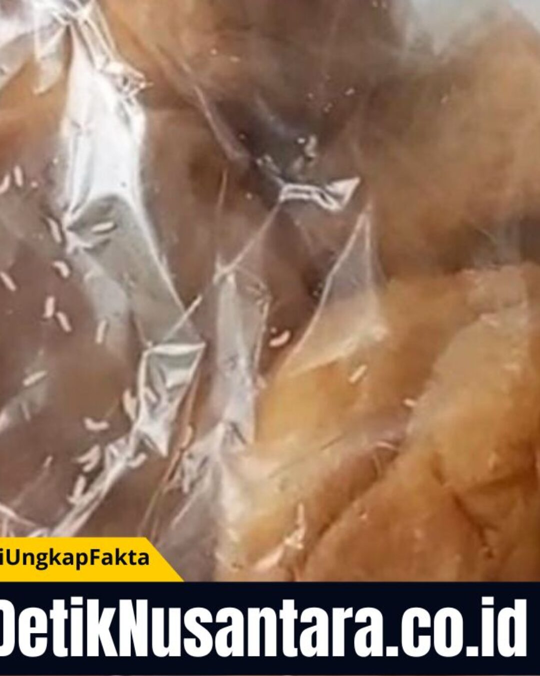 Geger! Temuan Ulat dalam Menu Makanan Bergizi Gratis di PAUD Sogaan Probolinggo