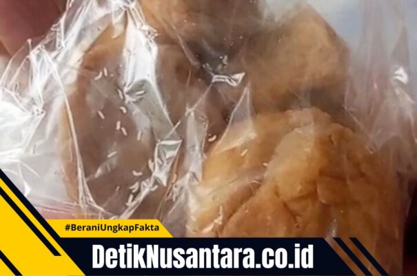 Geger! Temuan Ulat dalam Menu Makanan Bergizi Gratis di PAUD Sogaan Probolinggo