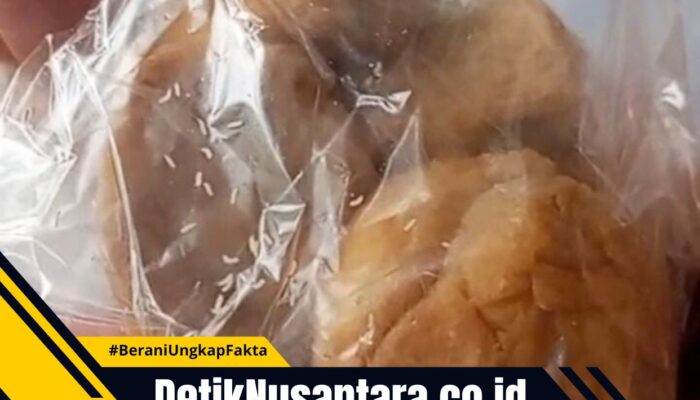 Geger! Temuan Ulat dalam Menu Makanan Bergizi Gratis di PAUD Sogaan Probolinggo