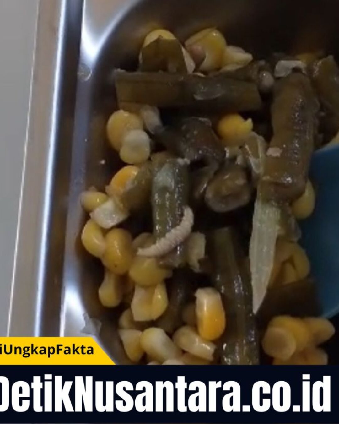 Temuan Ulat dalam Menu Makan Bergizi Gratis di Krejengan, LBH Cakra Probolinggo Desak Sidak SPPG