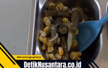 Temuan Ulat dalam Menu Makan Bergizi Gratis di Krejengan, LBH Cakra Probolinggo Desak Sidak SPPG