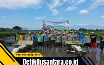 Genjot Produksi Padi, Pemkab Probolinggo Gelar Gerakan Percepatan Tanam Serempak di Tongas