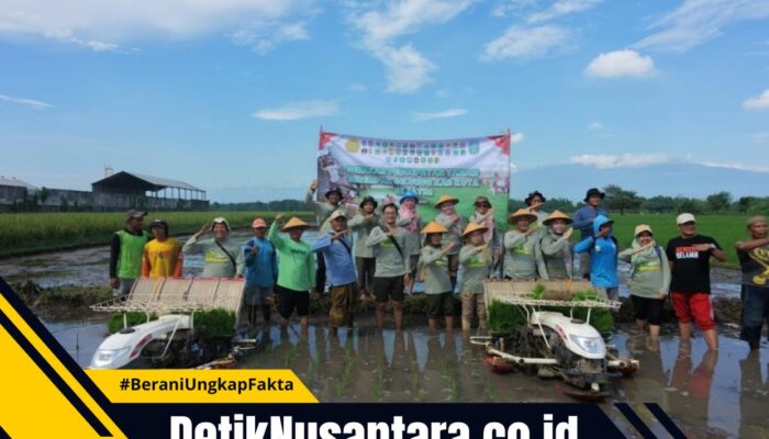 Genjot Produksi Padi, Pemkab Probolinggo Gelar Gerakan Percepatan Tanam Serempak di Tongas