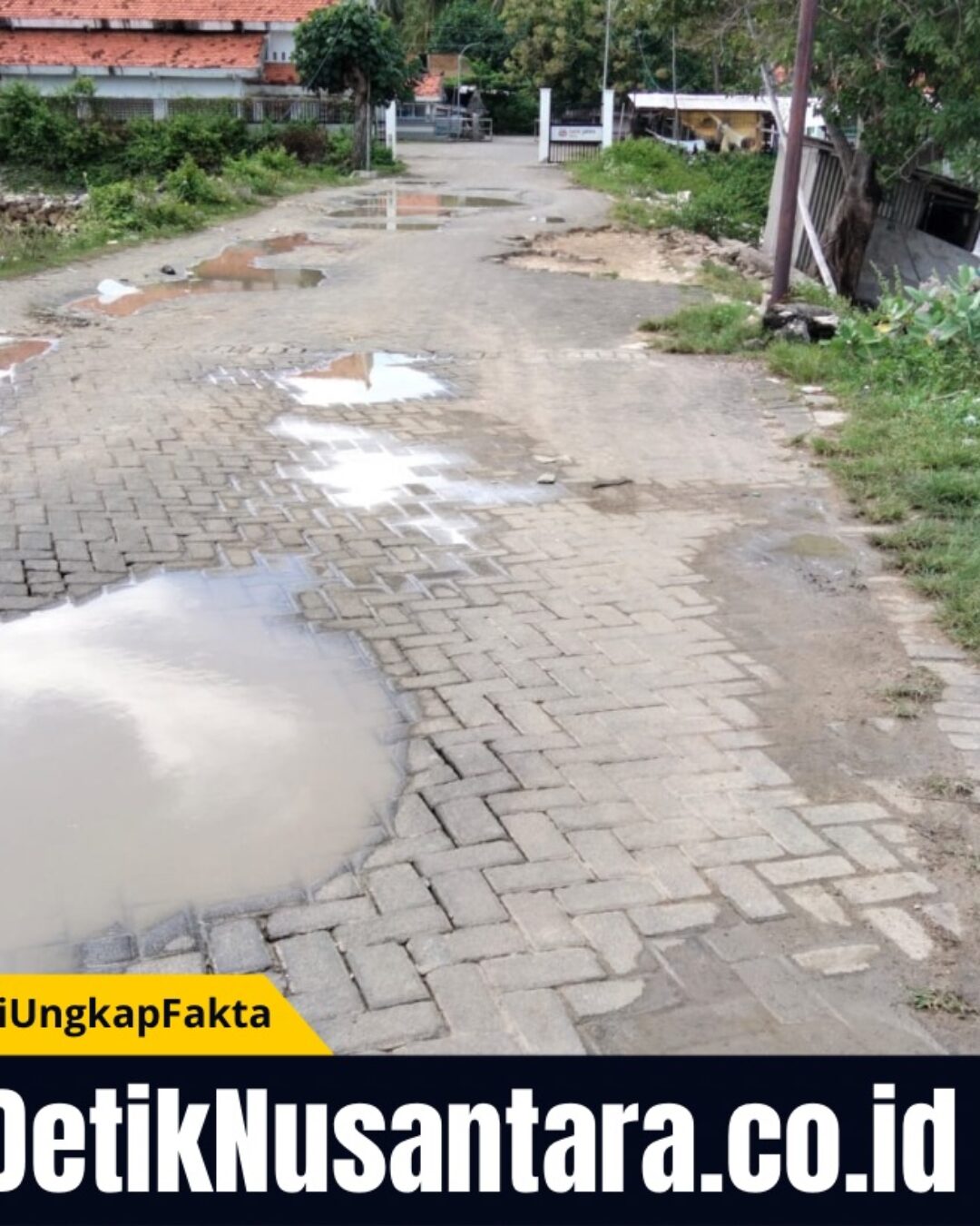 Jalan Pelabuhan Batu Guluk Kangean Rusak Parah, Pengendara: Kami Takut Truk Terguling!