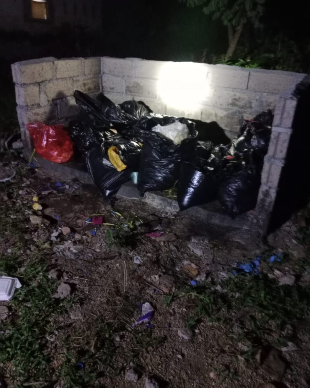 Lalat dan Bau Busuk Serang Permukiman di Sukowono Jember, Warga Keluhkan Limbah Dapur MBG