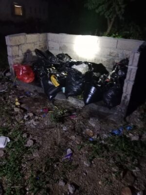 Lalat dan Bau Busuk Serang Permukiman di Sukowono Jember, Warga Keluhkan Limbah Dapur MBG