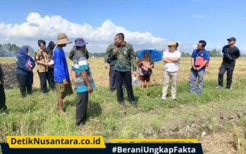 Sengketa Tanah Jabung Sisir: PN Kraksaan Gelar Pemeriksaan Setempat, Kuasa Hukum Pelawan Temukan Ketidaksesuaian