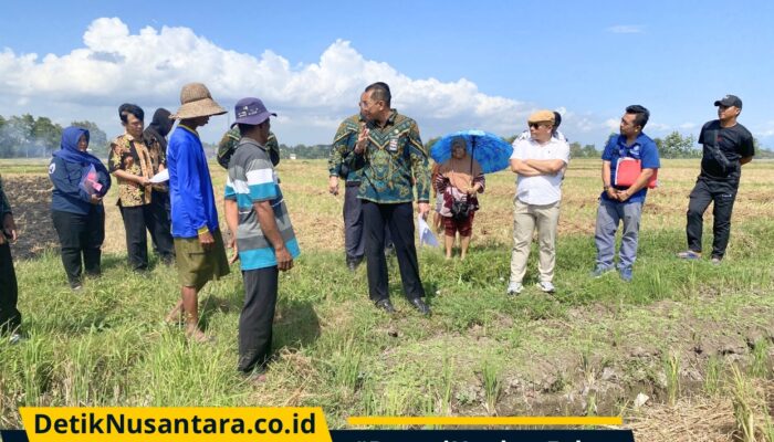 Sengketa Tanah Jabung Sisir: PN Kraksaan Gelar Pemeriksaan Setempat, Kuasa Hukum Pelawan Temukan Ketidaksesuaian