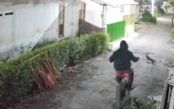 Teror Petasan Guncang Kraksaan: Rumah Warga Alassumur Kulon Diserang Pria Berjaket Hitam