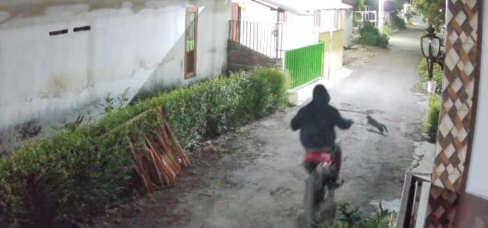 Teror Petasan Guncang Kraksaan: Rumah Warga Alassumur Kulon Diserang Pria Berjaket Hitam