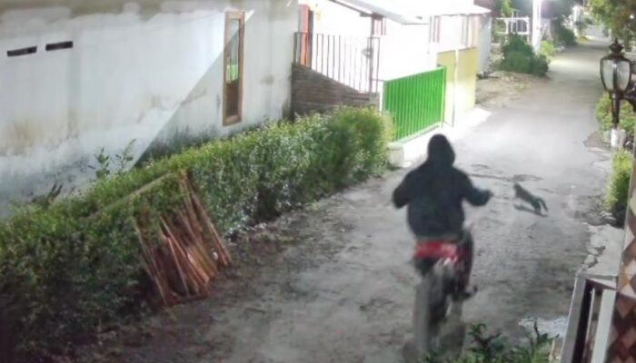 Teror Petasan Guncang Kraksaan: Rumah Warga Alassumur Kulon Diserang Pria Berjaket Hitam