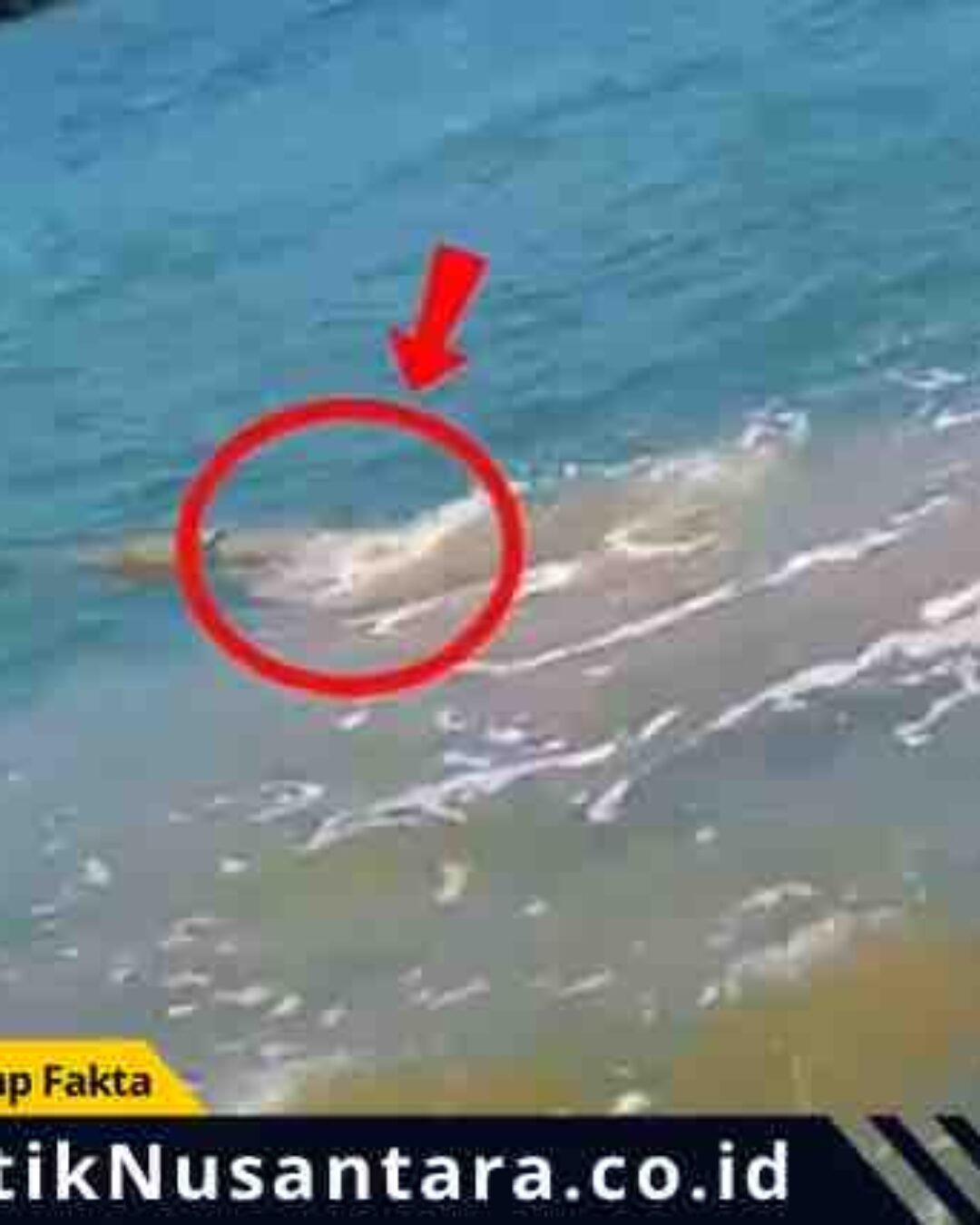 Viral Video Dugaan Pembuangan Limbah di Pantai Banyuglugur Situbondo, Warga Desak Investigasi