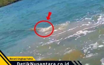 Viral Video Dugaan Pembuangan Limbah di Pantai Banyuglugur Situbondo, Warga Desak Investigasi