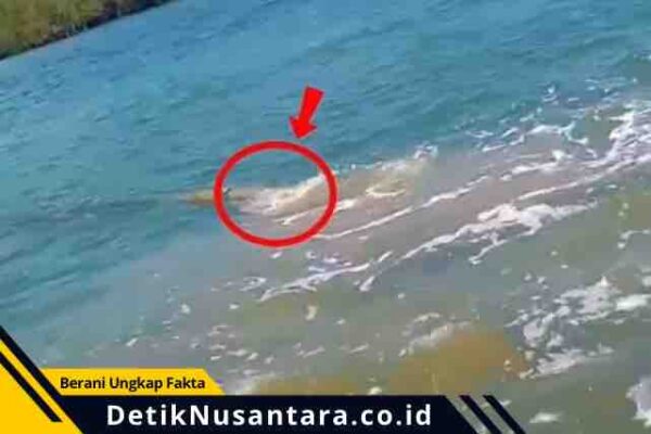 Viral Video Dugaan Pembuangan Limbah di Pantai Banyuglugur Situbondo, Warga Desak Investigasi