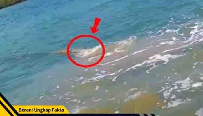 Viral Video Dugaan Pembuangan Limbah di Pantai Banyuglugur Situbondo, Warga Desak Investigasi