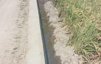 Dugaan Penyelewengan Dana Desa Pocangan Jember Mencuat, Warga Soroti Proyek TPT Rp35 Juta yang Tak Sesuai