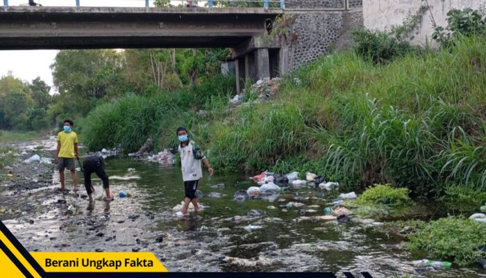 PENA HIJAU Gelar Aksi Bersih Sungai di Probolinggo, Awali Gerakan Peduli Lingkungan Berkelanjutan