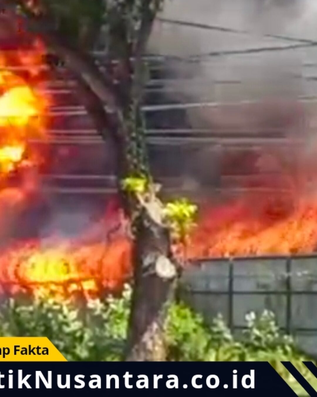 Kebakaran Hebat Toko Berlian Jaya Paiton, Tiga Mobil Damkar Diterjunkan, Sejumlah Bangunan Hangus Terbakar