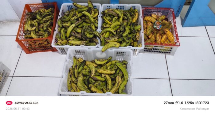 SPPG Paiton Berjaya Buka Suara Terkait Tudingan Arogan kepada Suplier Buah
