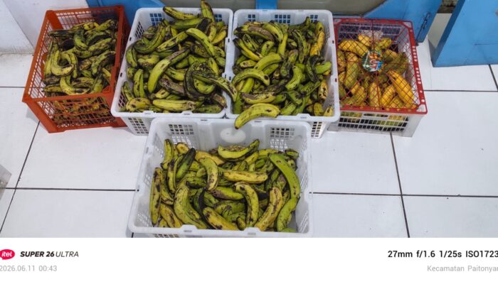 SPPG Paiton Berjaya Buka Suara Terkait Tudingan Arogan kepada Suplier Buah