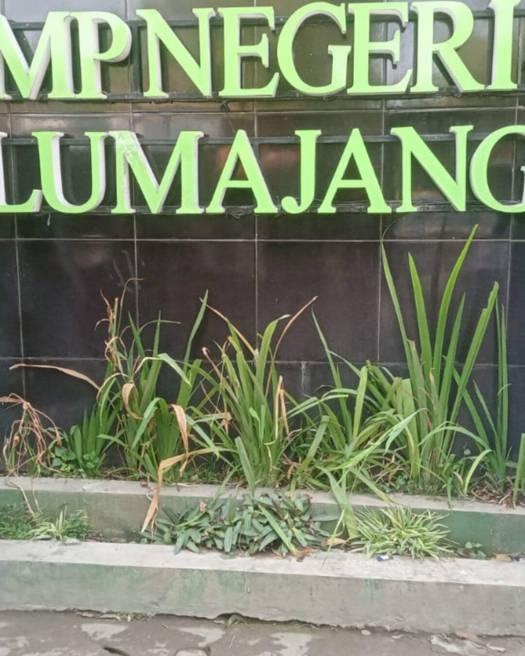 Melalui Gerakan Sekolah Mengaji, SMPN 04 Lumajang Tingkatkan Nilai Religius Siswa