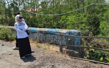 Tinjau Jembatan Curah Bubur, Feri Gita Rahayu Pastikan Aktivitas Warga Probolinggo Tetap Aman