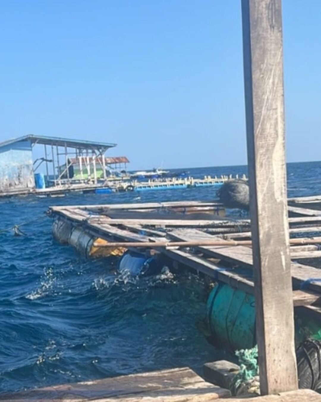Dugaan Penyalahgunaan Aset Desa Sapeken Sumenep: Reklamasi Pantai Diduga Jadi Bisnis Pribadi Kades