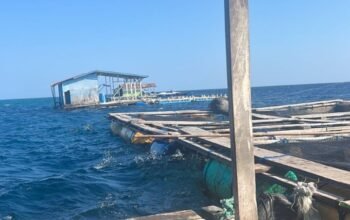 Dugaan Penyalahgunaan Aset Desa Sapeken Sumenep: Reklamasi Pantai Diduga Jadi Bisnis Pribadi Kades